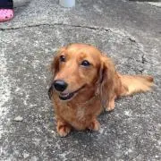 春夏秋冬の画像
