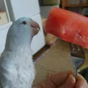 まる