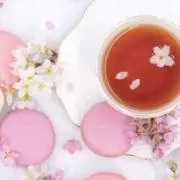 ねこふんじゃった 【プロフご確認下さい】の画像