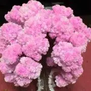 在庫の確認をお願いします♡ここ♡