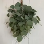 そらこの画像