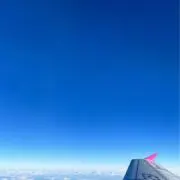 あーちゃんの画像