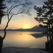 キョロの画像