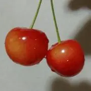 M&M