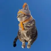 MASHIROの画像