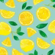 SUNOZONの画像