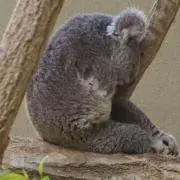 う〜