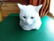 brnwkの画像