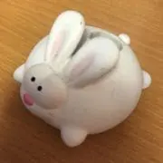 ココペリの画像