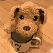 わんわん