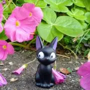 つき☆