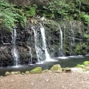 千葉県民