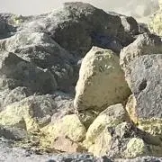 まやこっこの画像