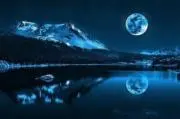 ツナ缶星人の画像