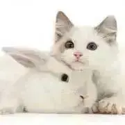 にゃん♡プロフ必読♡祝☆退院