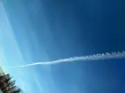 カガガの画像