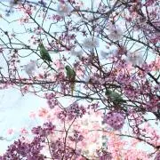 ユ〜カリ☆プロフィール読んでくださいの画像