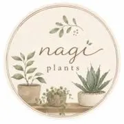 nagi plantsの画像