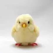 ひよこ ※プロフ必読
