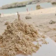 まるのこの画像