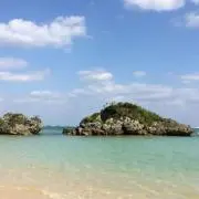 ぽなの画像