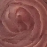 ポチの画像