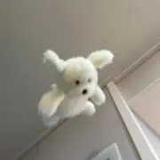 mimiの画像
