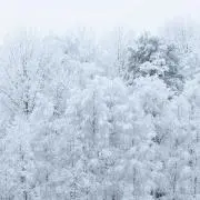 senの画像