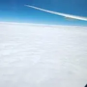 ピプの画像