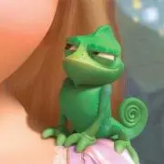 ぐみの画像