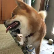 めぐみの画像