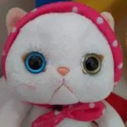 ヌコ子