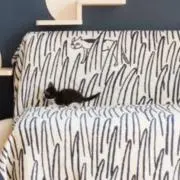 bombonの画像