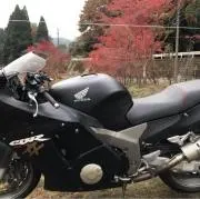 雄輝夏
