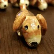 saraの画像