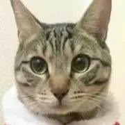 ちば