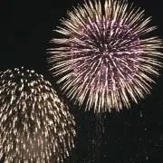rinの画像