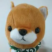 ちよまるの画像