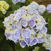 kbyshstkの画像