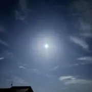 poooの画像