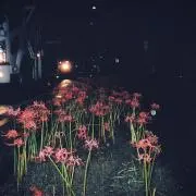春
