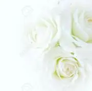 Elikaの画像