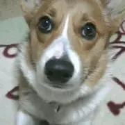 一男