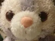 くみ