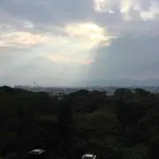 japlive