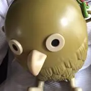 うっちーの画像