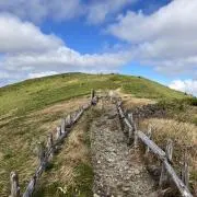 ｍａｉｍａｉの画像