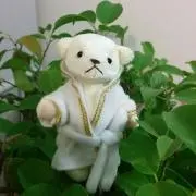 はんちゃんの画像