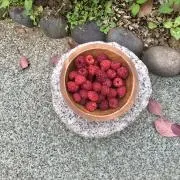 yam