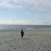 しゅんすけ